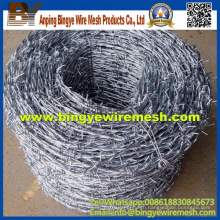 High Quality with Prety Good Price Barbed Wire